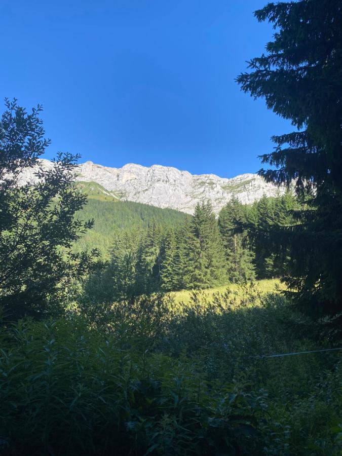 Cretes Du Vercors Vue Magnifique Villard-de-Lans Εξωτερικό φωτογραφία